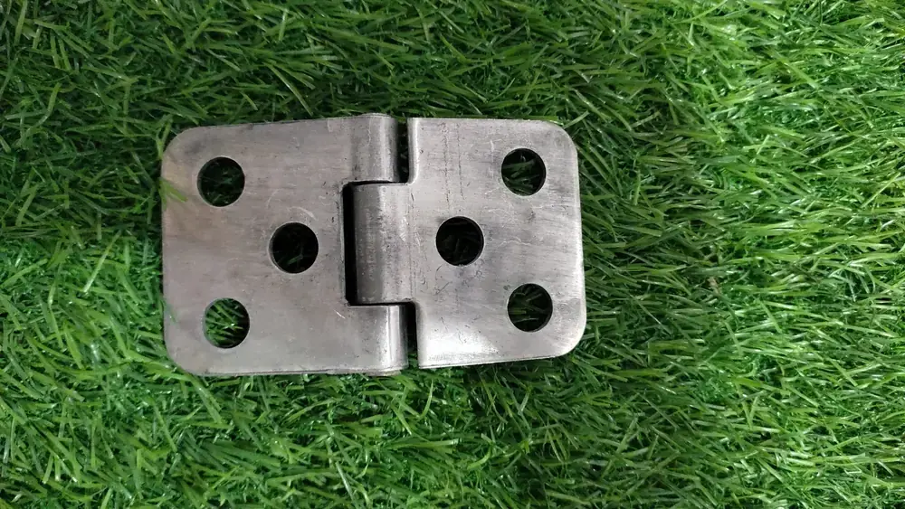 Canopy door hinges